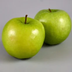 Granny Smith Apple Tree -Arbor Sapling Sales FRU0227 3